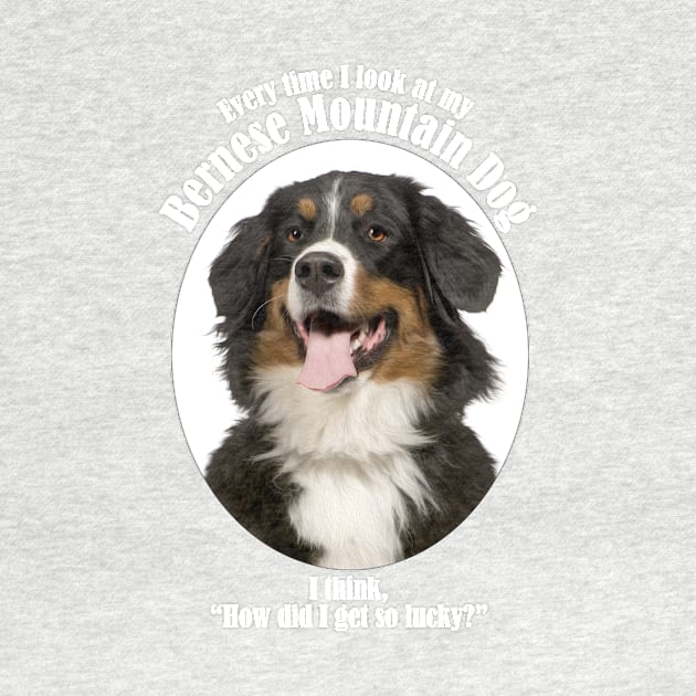 Lucky Bernese Mountain Dog by You Had Me At Woof